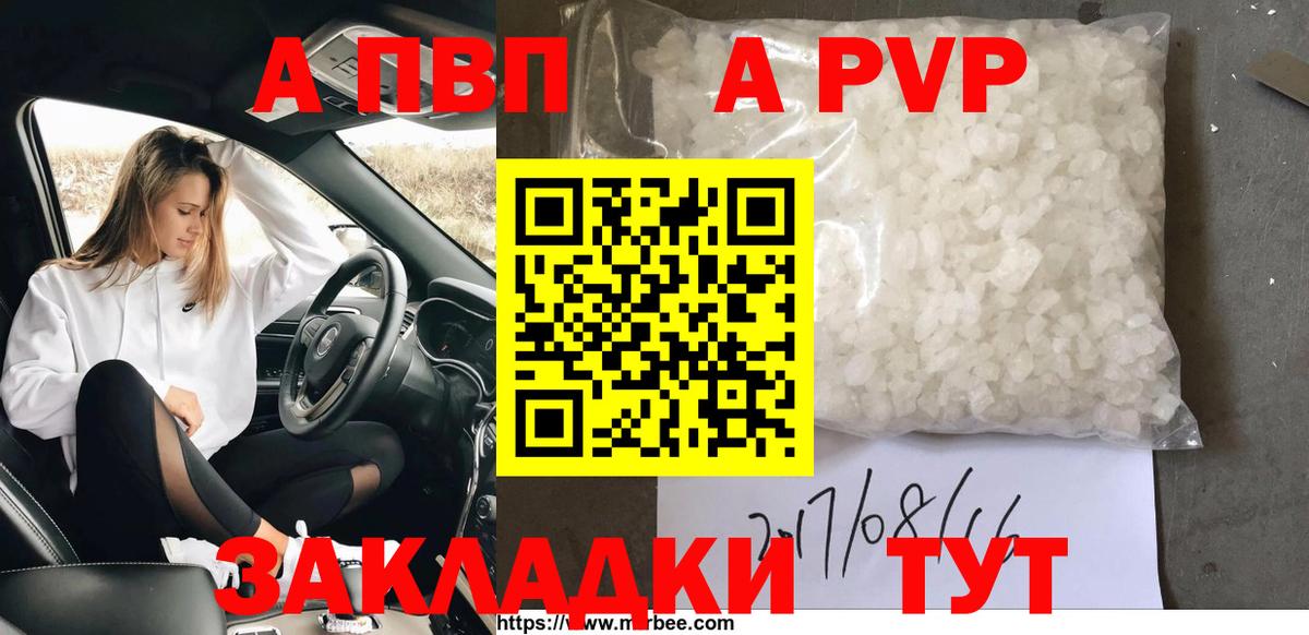 Alfa_PVP СК Большой Камень