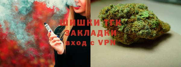 тгк Няндома