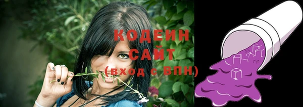 тгк Няндома