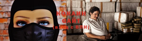тгк Няндома
