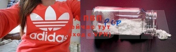 тгк Няндома