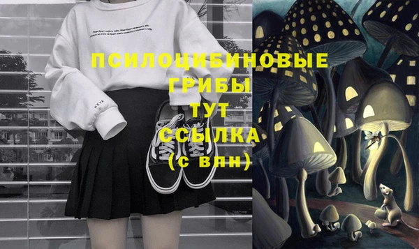 хмурый Нягань