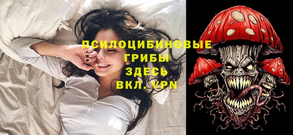 тгк Няндома