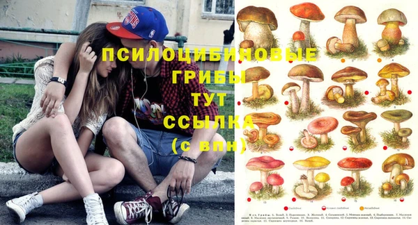 хмурый Нягань