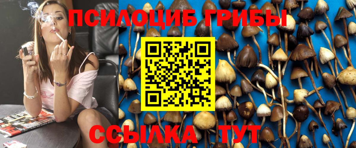 Большой Камень  Псилоцибиновые грибы Magic Shrooms  Вход с VPN 